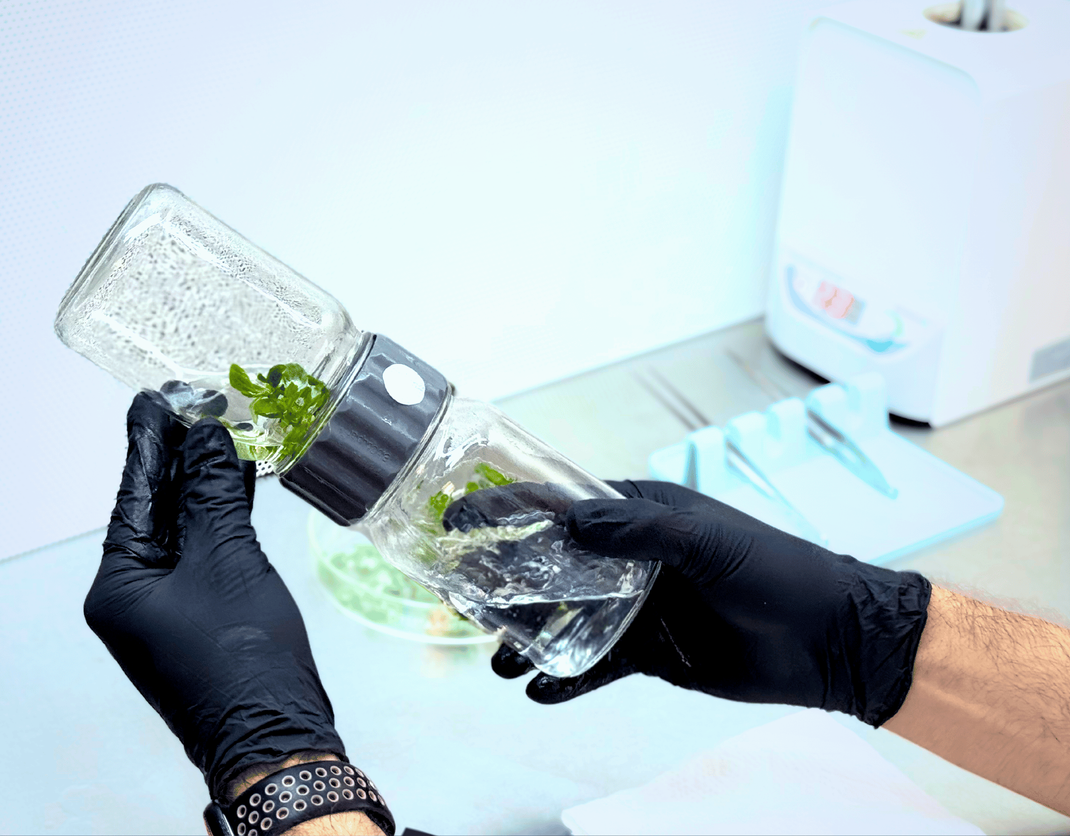 Biocoupler™ Collection – Plant Cell Technology