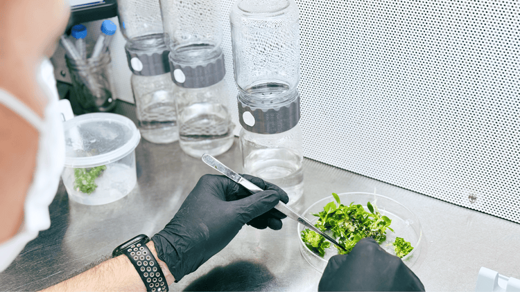Lab Equipment