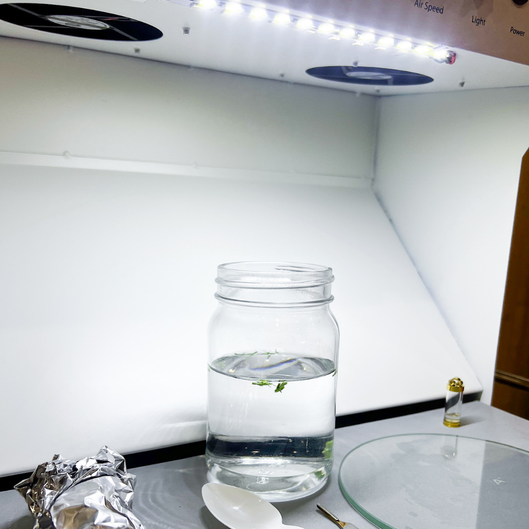 Discover 'The Mini' portable flow hood by Plant Cell Technology. The image showcases floating plants in jar, tissue culture sample jewelry, glass plates, and various tools.