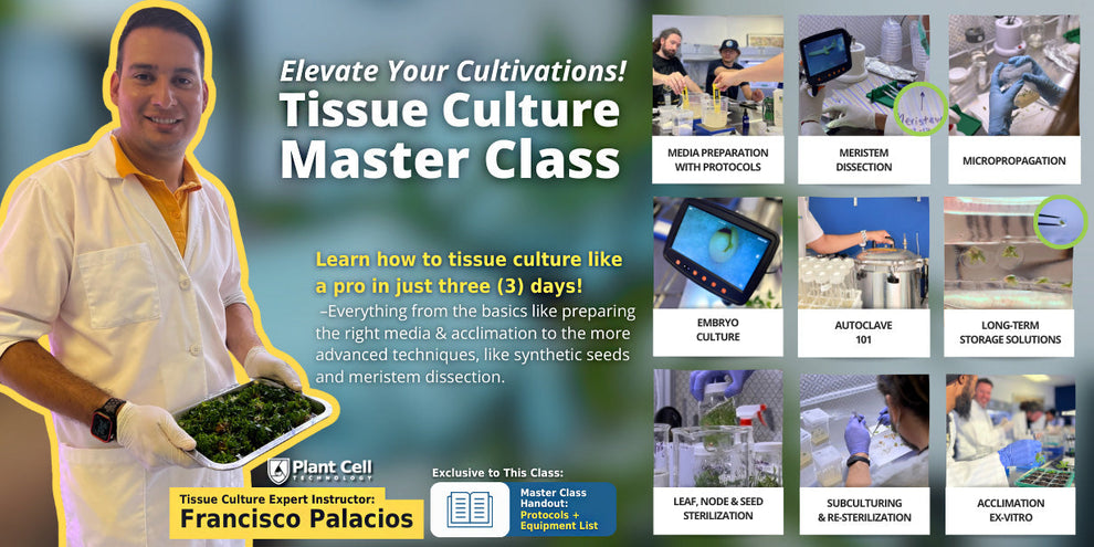 In-Person Tissue Culture Master Class – Plant Cell Technology