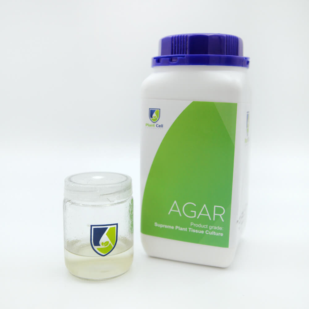 Image featuring square and round jars with the PCT logo filled with agar.