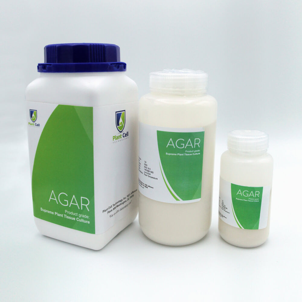Image showcasing the diverse range of agar sizes available for delivery.