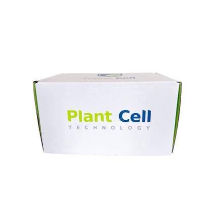 Synthetic Seed Starter Kit