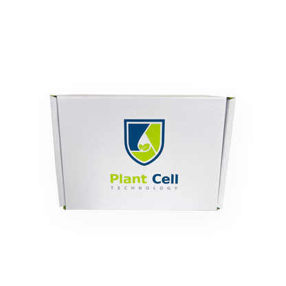 Synthetic Seed Starter Kit