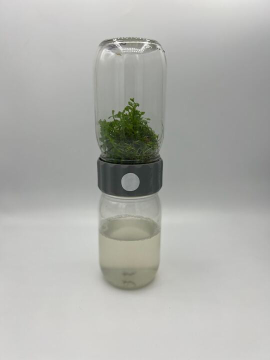 Image of Glass BioCoupler set with plant specimen displayed against neutral background.
